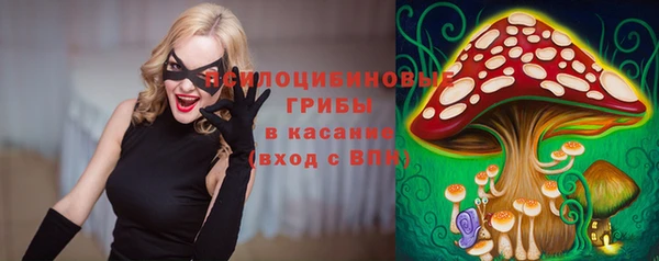 МДПВ Заводоуковск