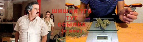 гидропоника Иннополис