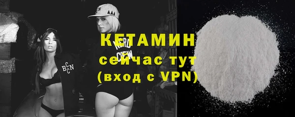 сатива Каменка