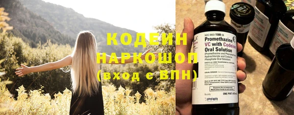 шишки Заволжье