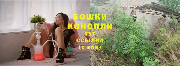 гидропоника Иннополис