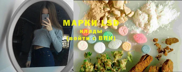 гидропоника Иннополис