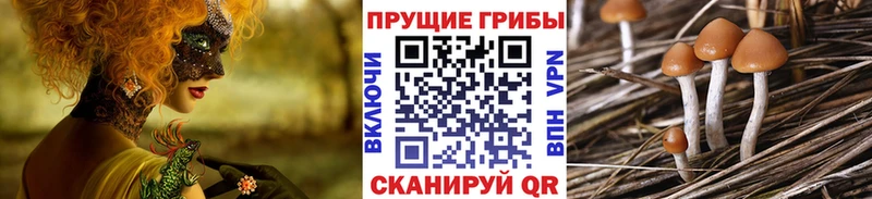 Псилоцибиновые грибы ЛСД  Кондрово 