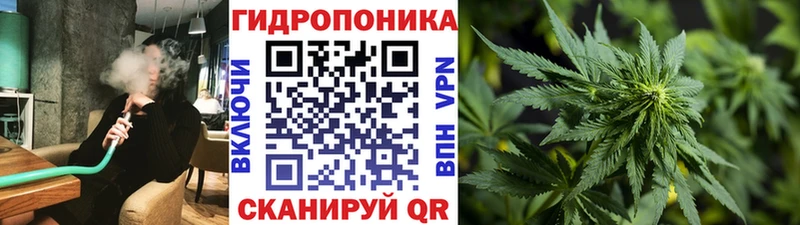 хочу наркоту  Кондрово  гидра ТОР  Шишки марихуана планчик 